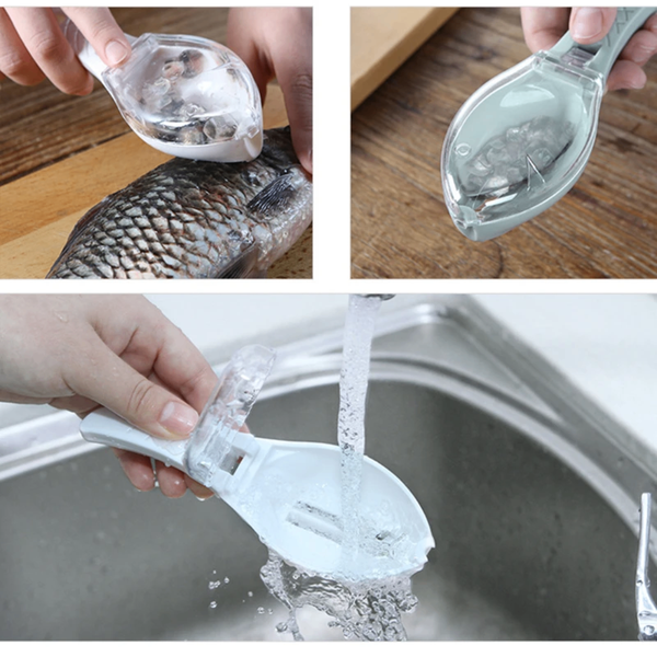 Écailleur de Poissons 2PCS