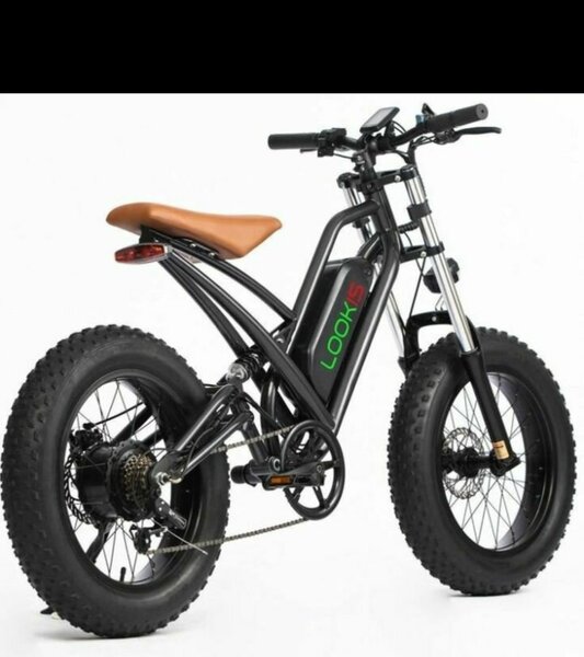 Vélo Électrique Tout-Terrain