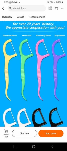 Mint Scent Dental Floss Picks