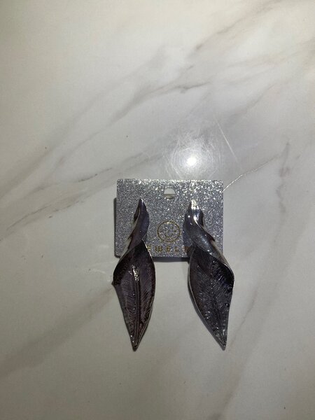 Boucles en acier inoxydable