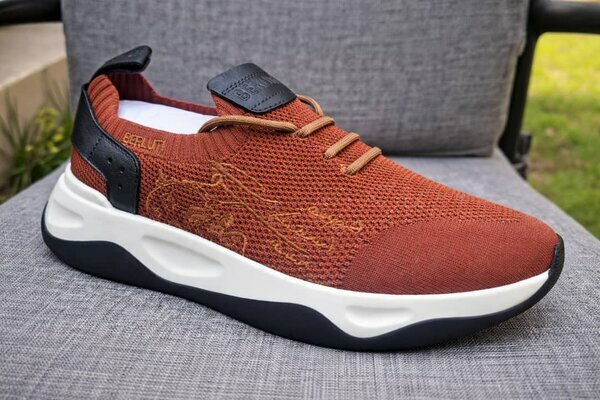 Baskets Berluti Marron 40-45 promo