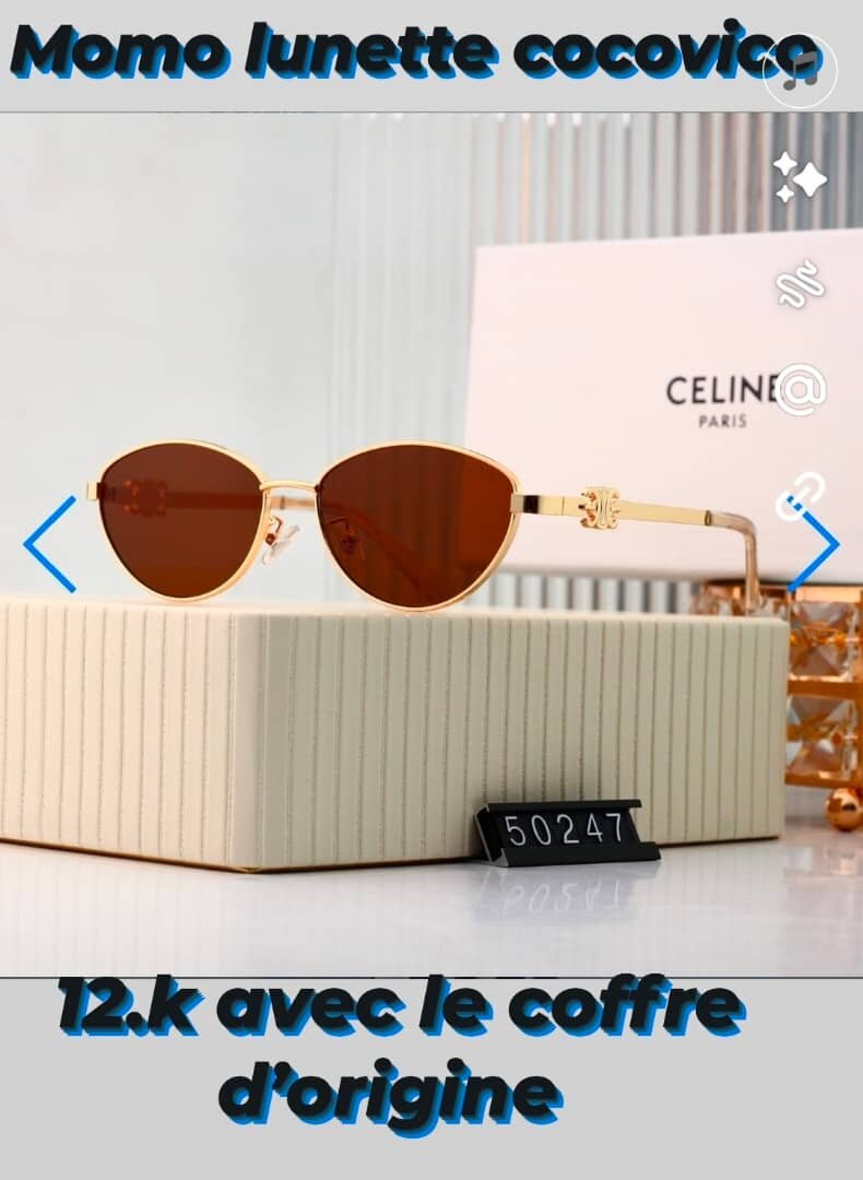 Lunettes de Soleil Élégantes