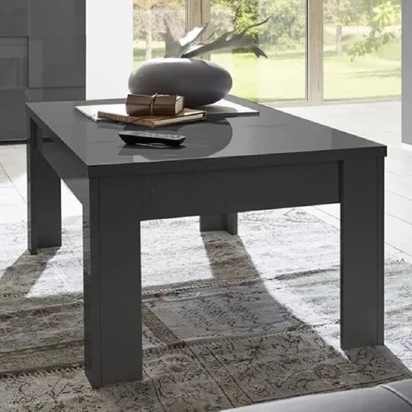 Table basse moderne+décoration