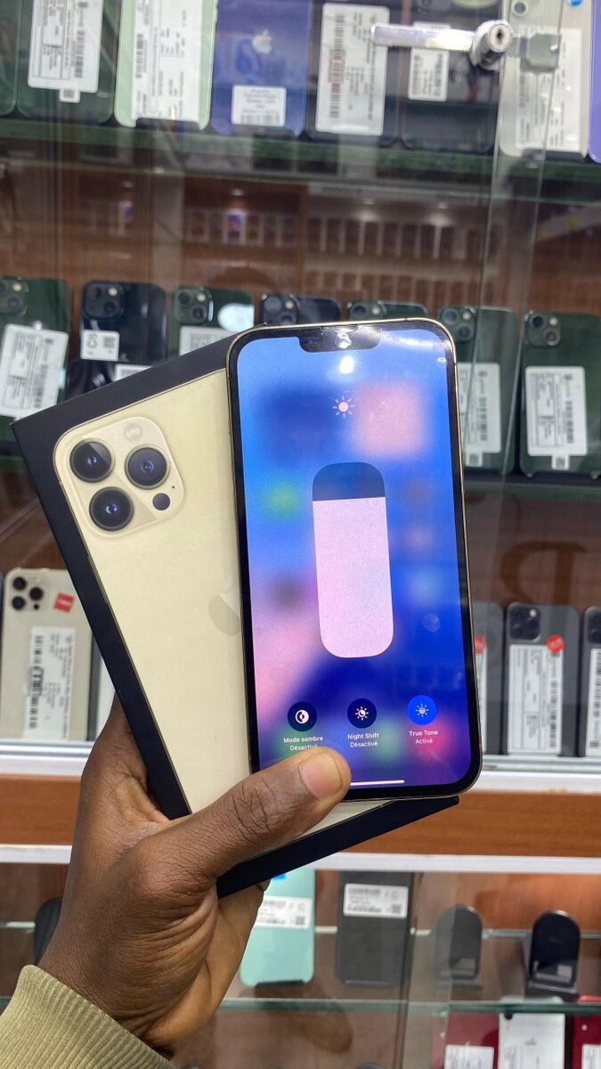 13 pro max CE 256giga sans ID