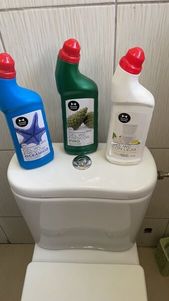 Mayor Domo WC gel