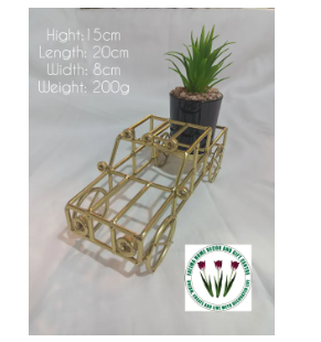 Flower Pots in Golden Metallic (Imported)