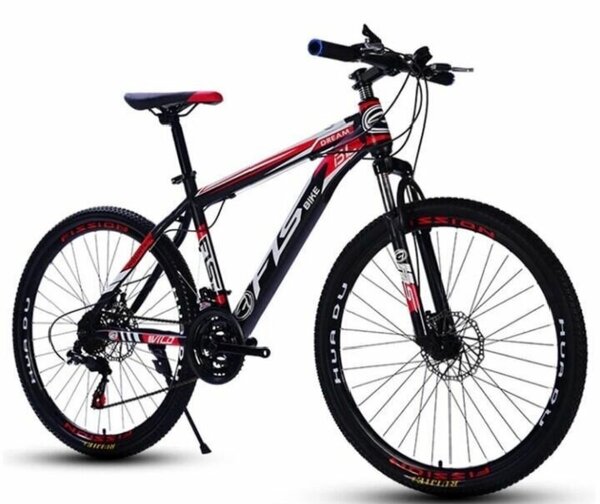 Vélo tout-terrain robuste