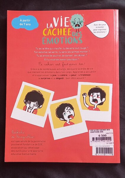 La Vie Cachée des Émotions