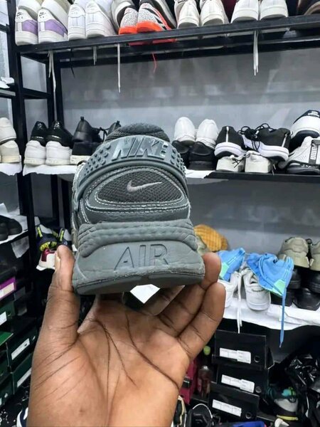 Chaussure Nike Air Max grise