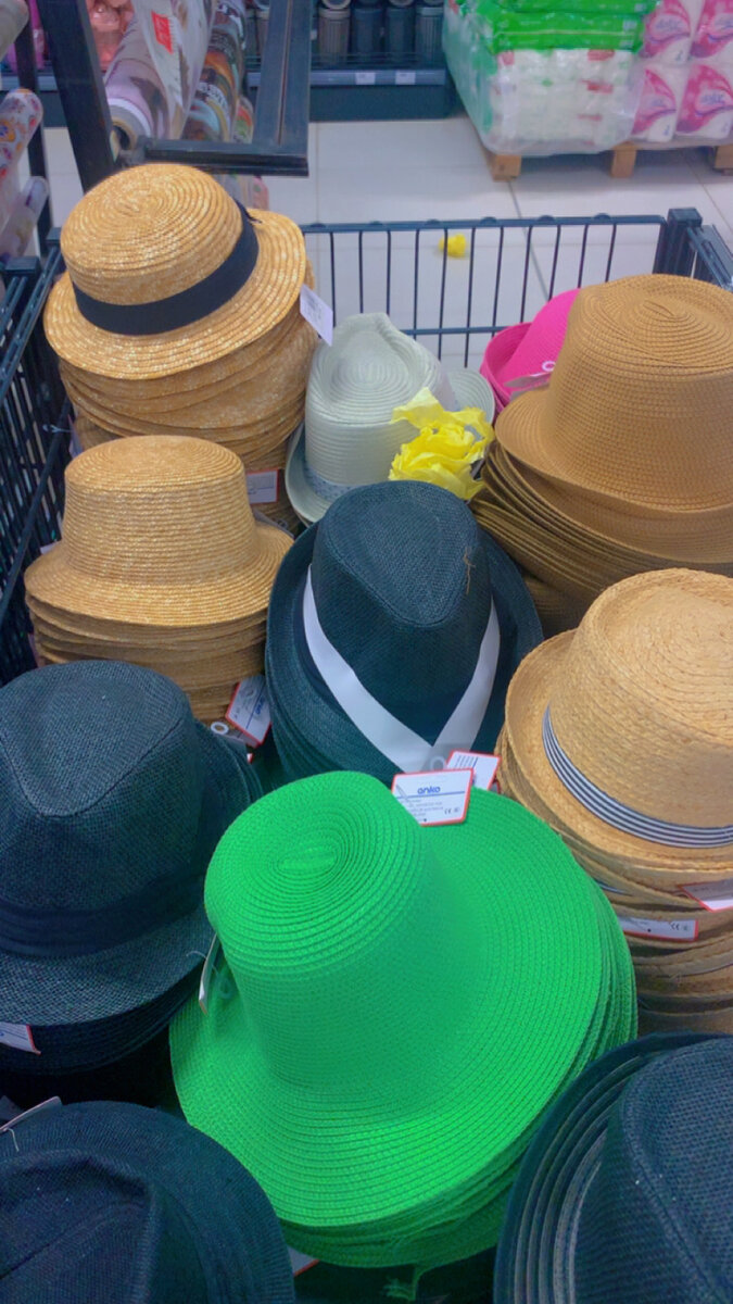 Chapeau Fedora Élegant