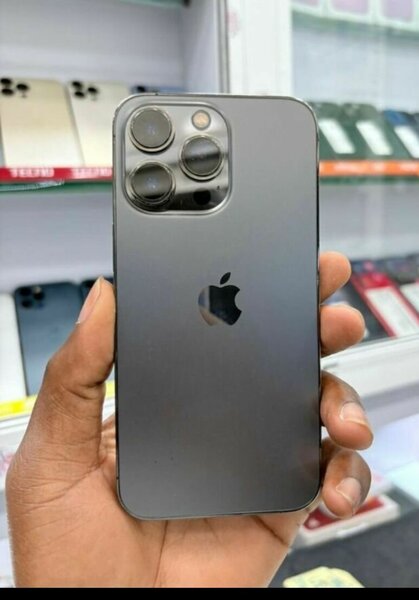 iPhone 13 Pro Max