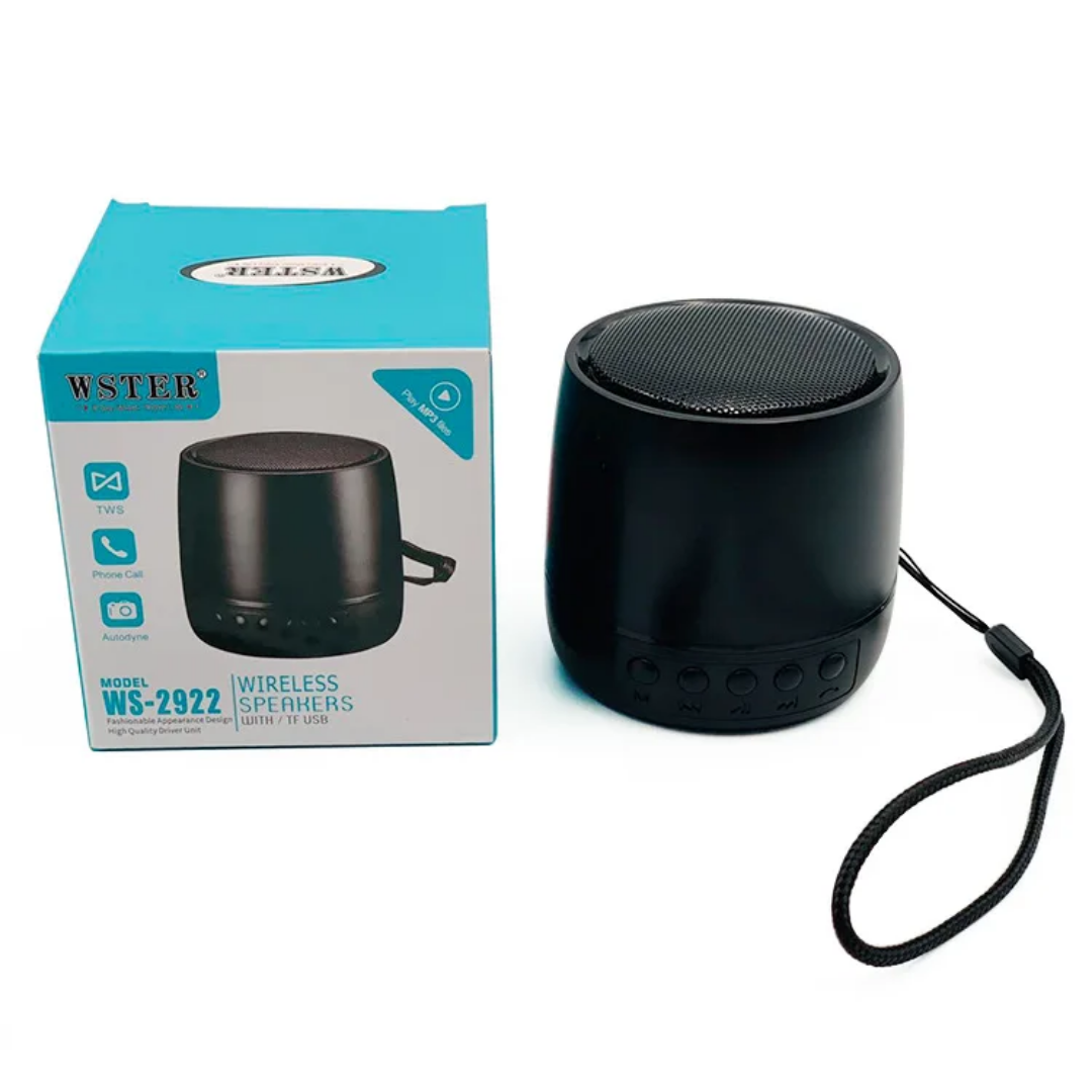 Enceinte Bluetooth Wster WS-2922