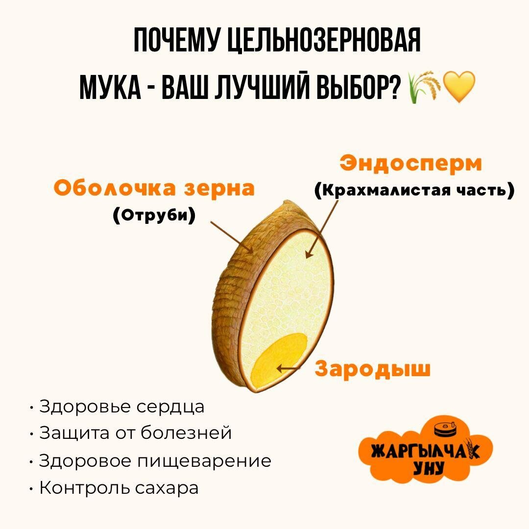 Толук дандуу Жаргылчак уну# Цельнозерновая пшеничная мука