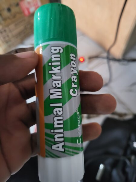 Crayon de Marquage Animal