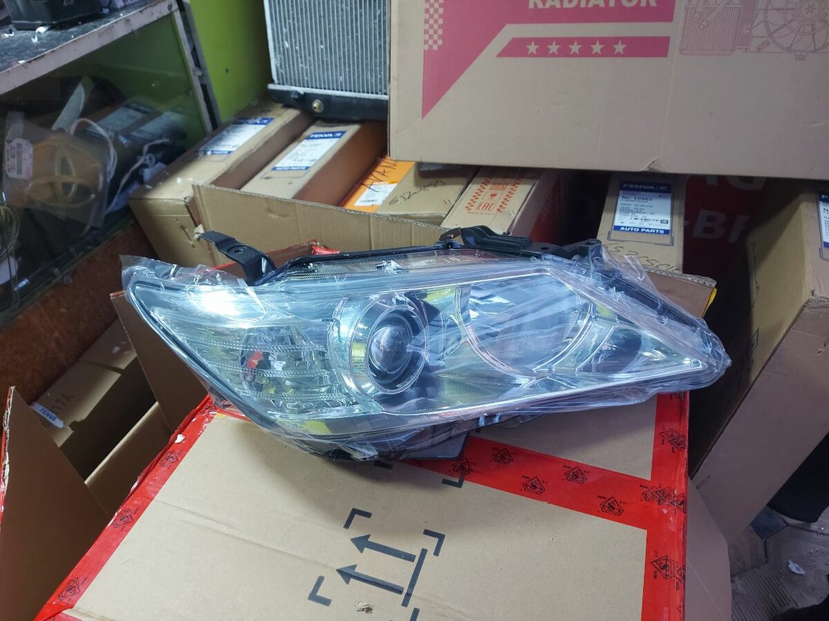 5.5 европеец