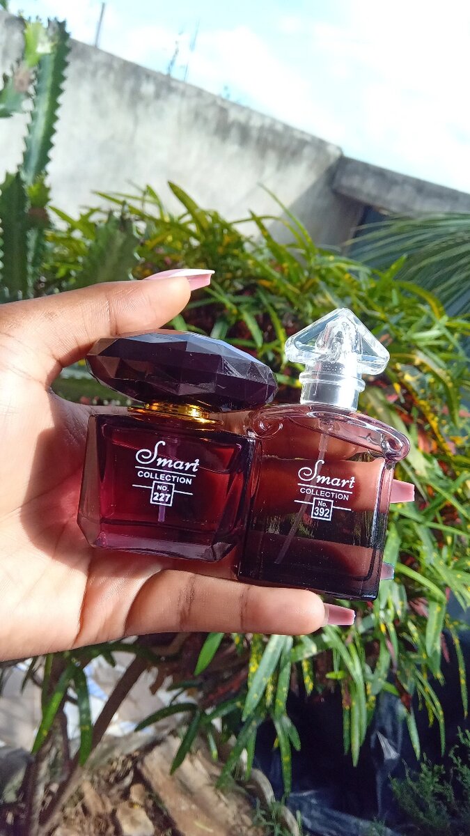 Ensemble de parfums élégants