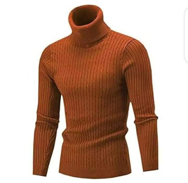 Pull à col roulé homme chic