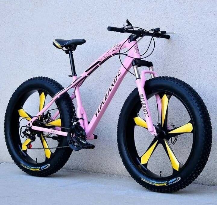 Vélo Fat Bike Tout Terrain