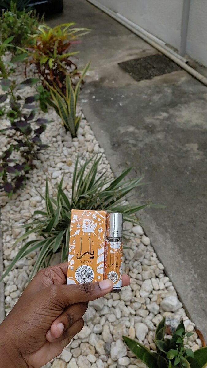 Huile parfumé arabe 10ml