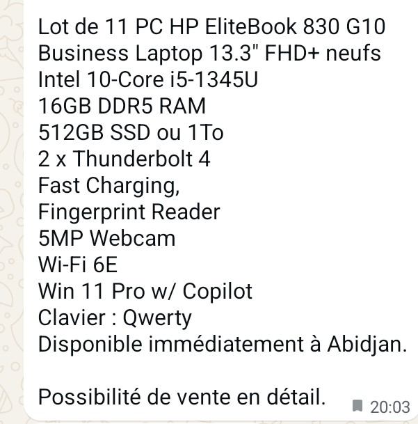 HP EliteBook 830 G10 - 13.3"