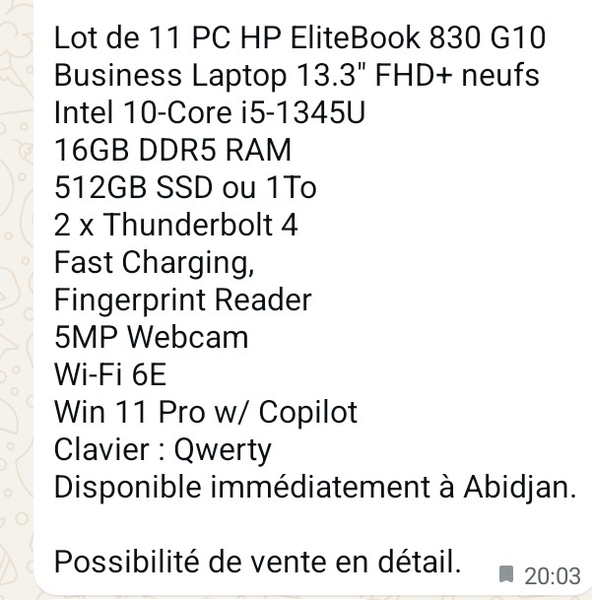 HP EliteBook 830 G10 - 13.3"
