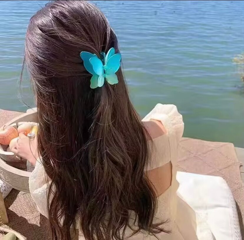 Pince Papillon Colorée