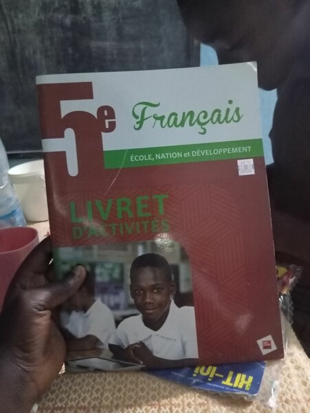 Livre d'Activités Français