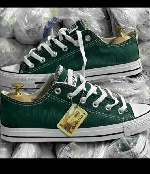 Baskets basses unisexes élégantes