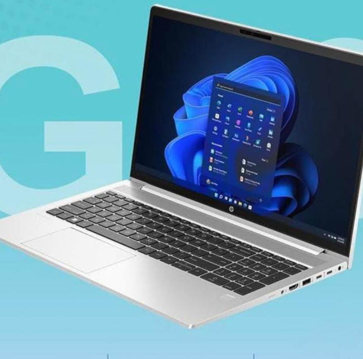 HP ProBook 450 15.6 inch G10-13th Generation-Intel