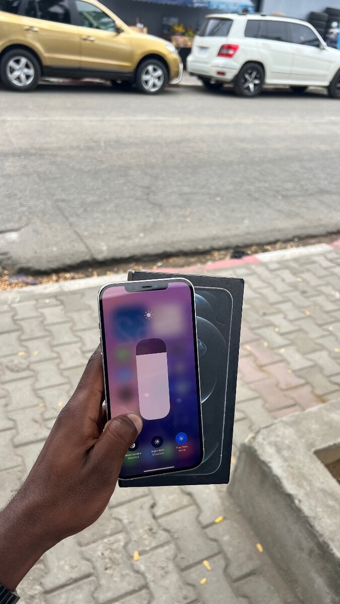 iPhone 12 Pro Max Blanc