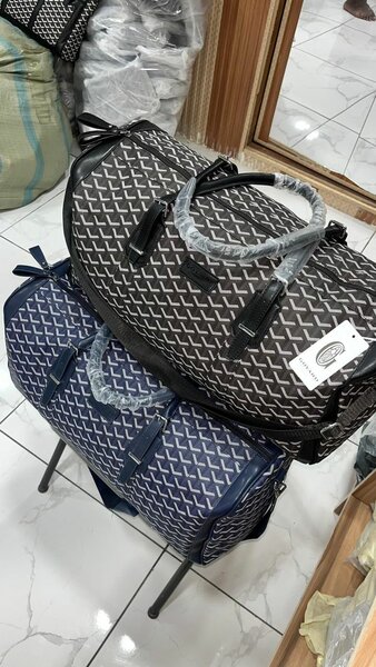 Bagages de voyage élégants