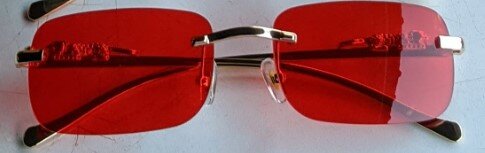 Unisex sunglasses Jaguar 