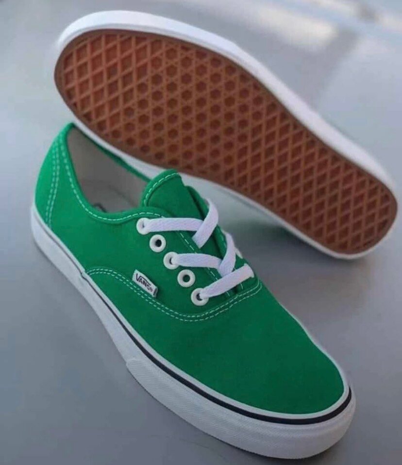 Chaussures Vans Classiques Homme