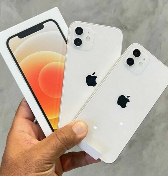 iPhone 12 Blanc 64Go