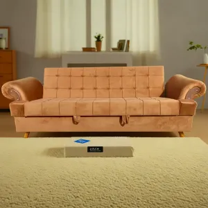 Designer Sofa Cum Beds