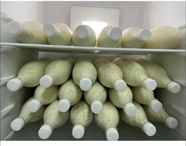 Yaourt crémeux et dêguè