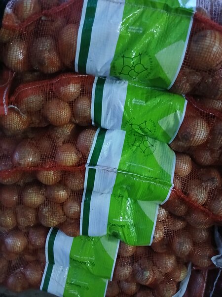 Oignons Frais en Filets