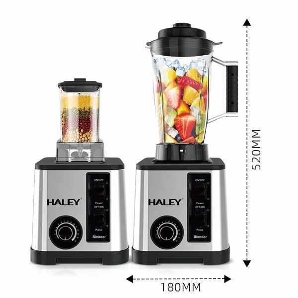Mixeur Multifonction HALEY 5500W