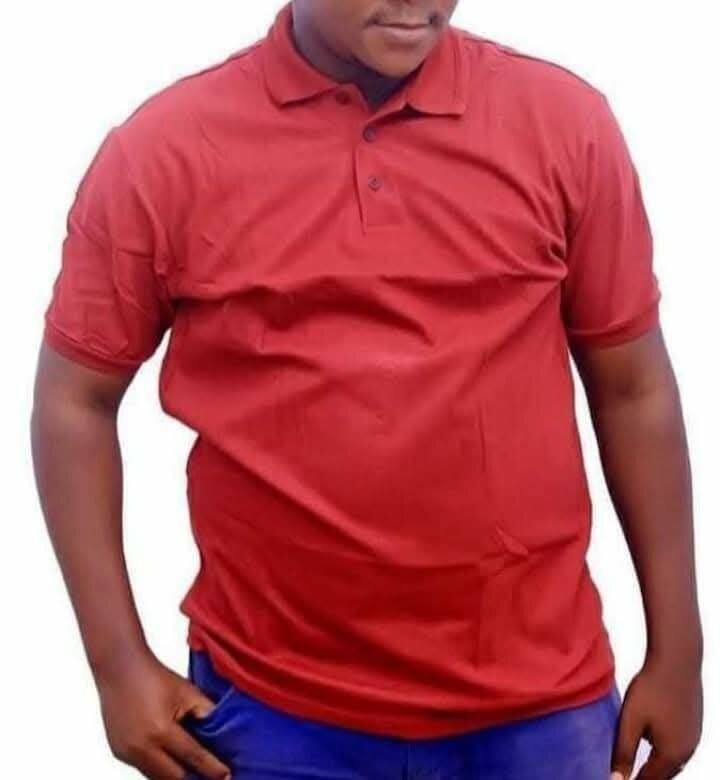 Polo classique pour hommes