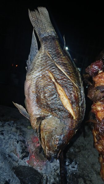 Carpe piquée savoureuse