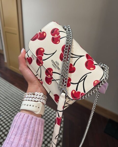 Ladies bag