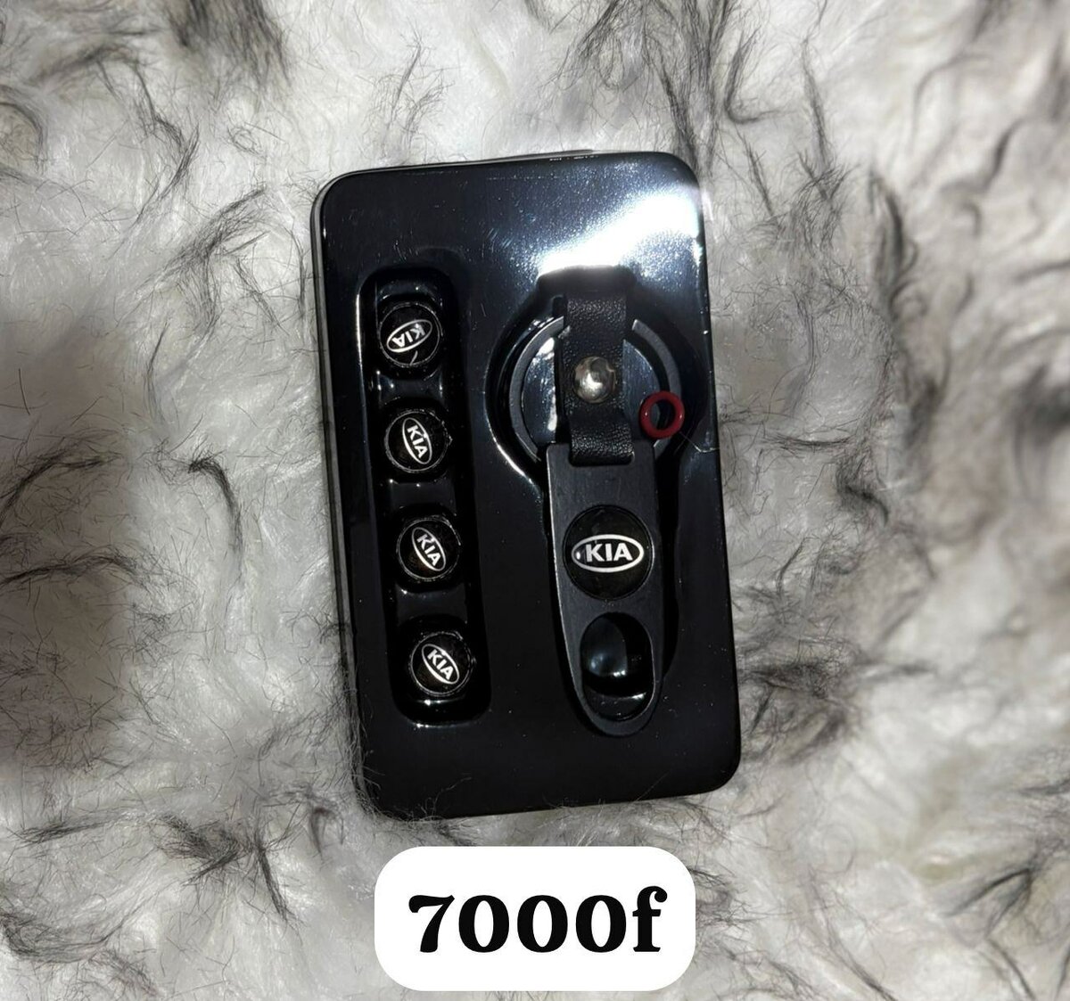 Porte clé, insignes de valf