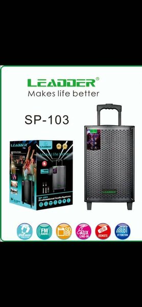 Enceinte LED sans fil Leadder
