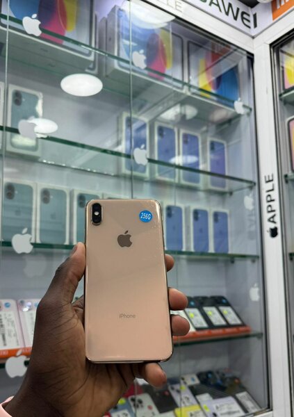 Xs Max 256Go