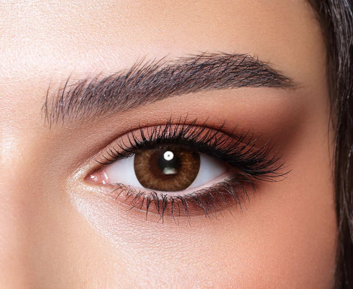 Bella ONE DAY Collection: Almond Brown