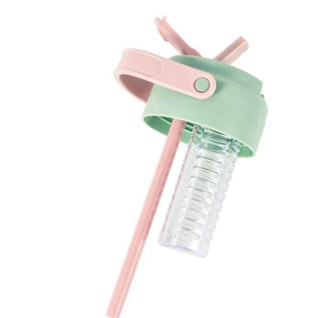 Bouteille Infuseur Fruit 800ML