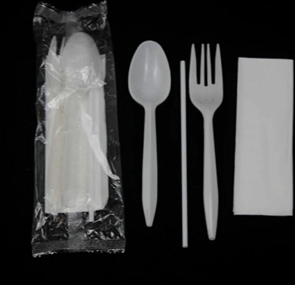 Kit de Couvert Jetable 4 en 1