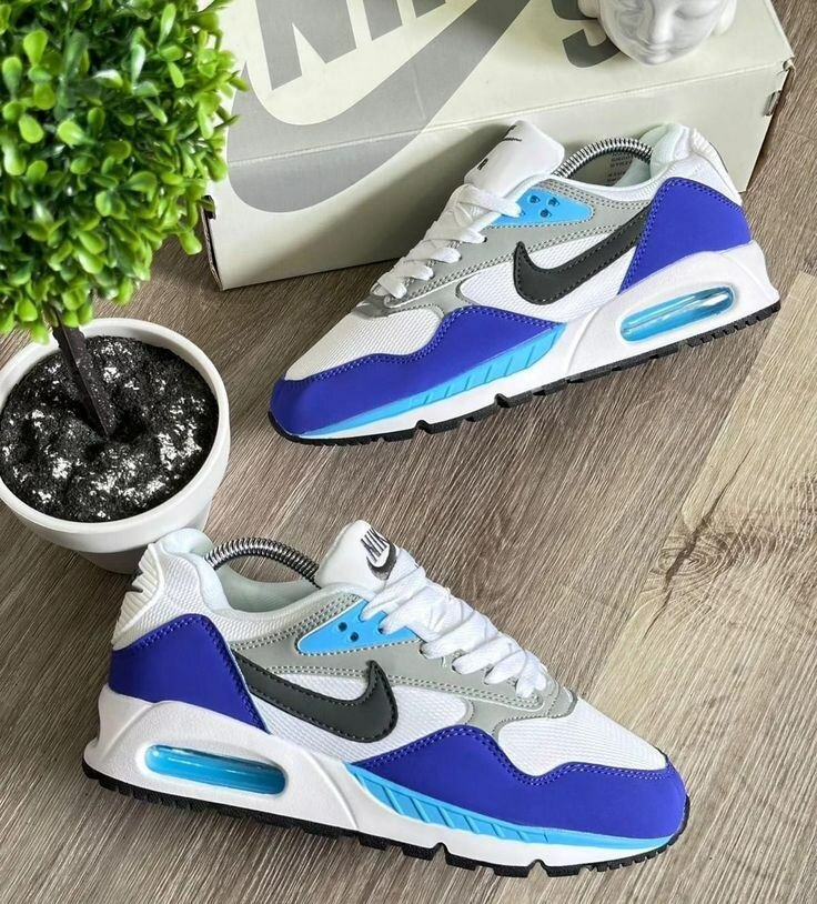 Nike Air Max Classiques Homme