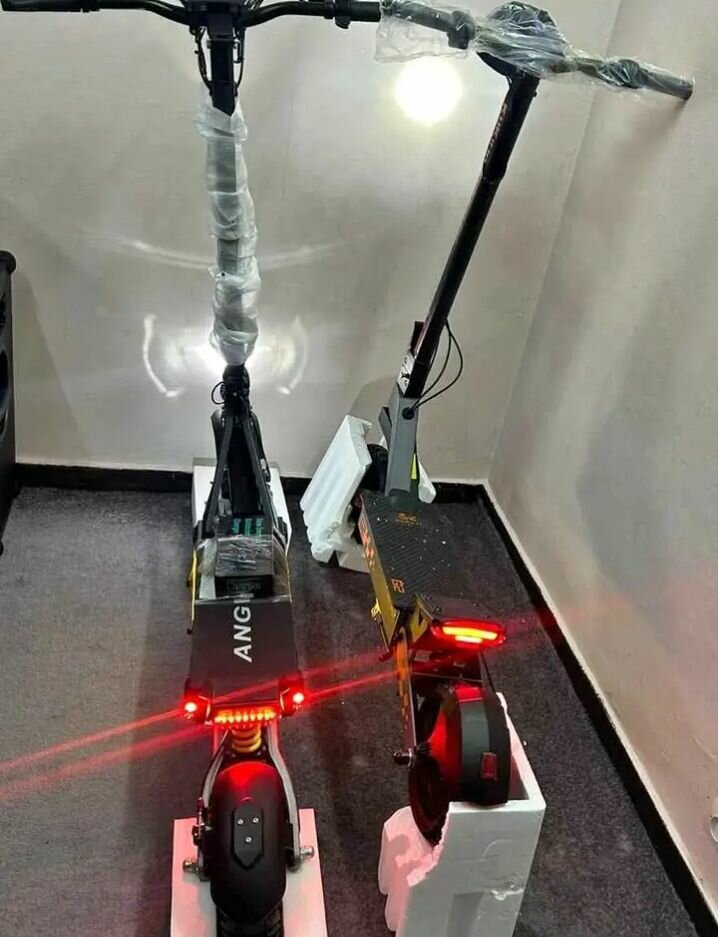 Trottinette Électrique Puissante