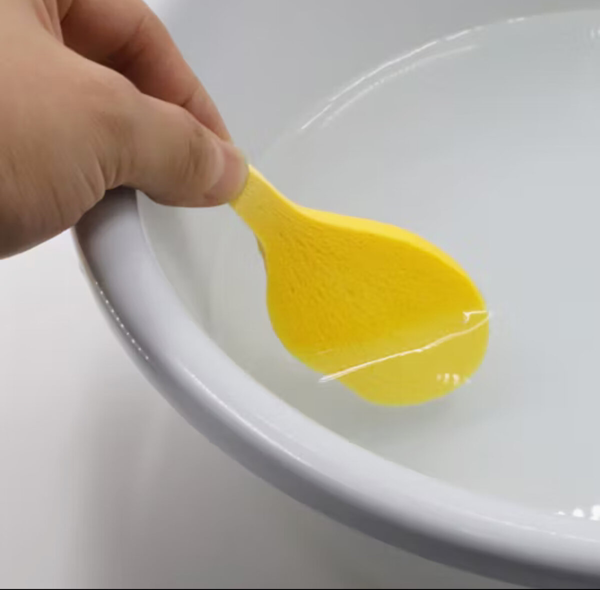 Éponges compressées magiques